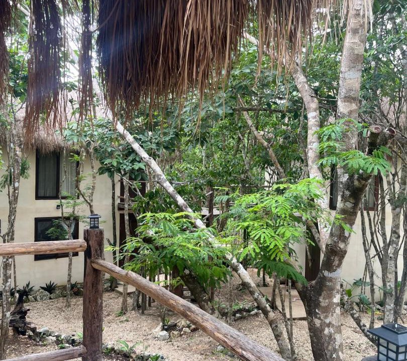Photo of Others in Tulum