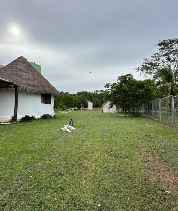 Photo of Others in Bacalar