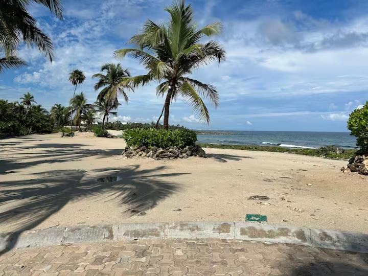 Photo of Others in Akumal