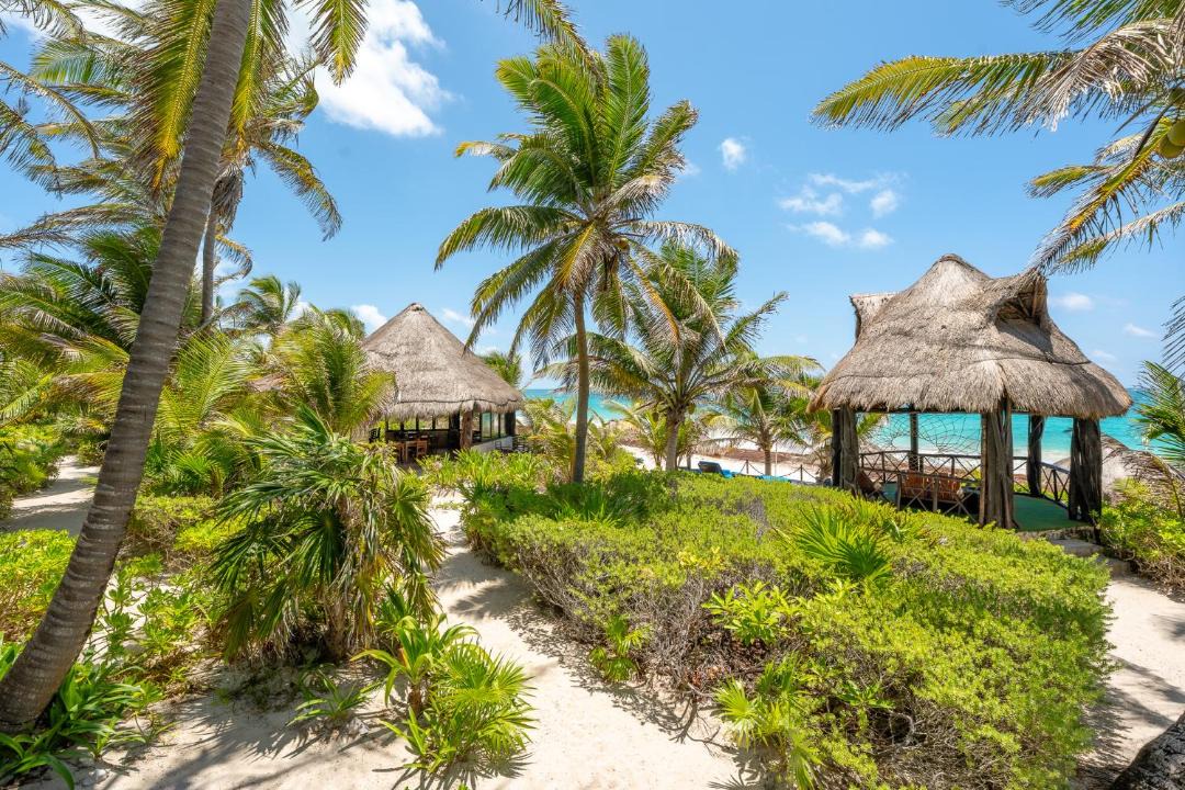 Photo of Others in Punta Allen