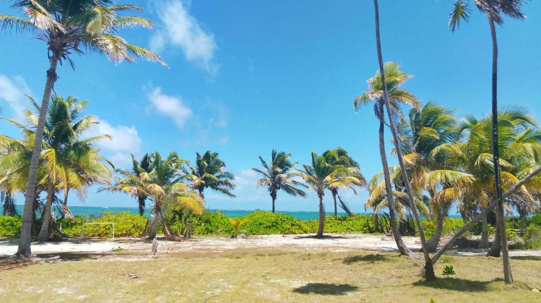 Photo of Others in Majahual