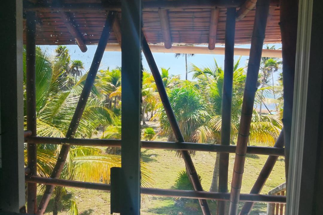 Photo of Others in Majahual