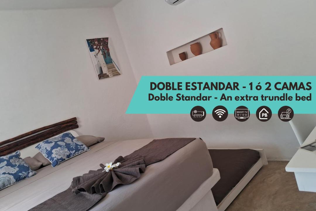 Photo of Others in Chetumal