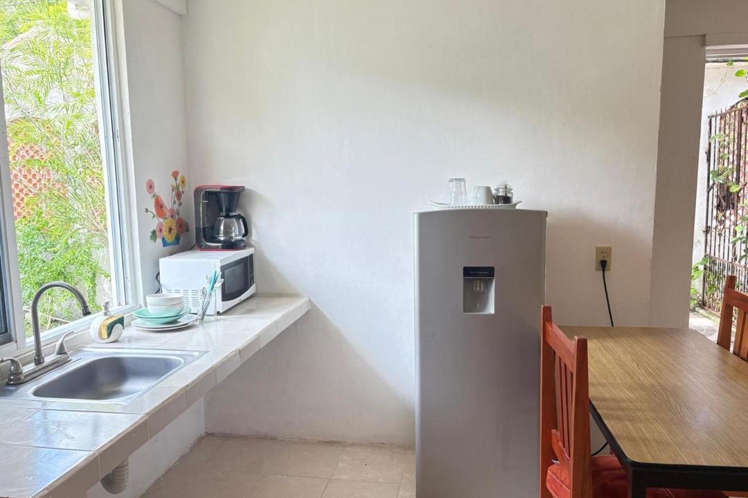 Photo of Kitchen in Mario Villanueva Madrid