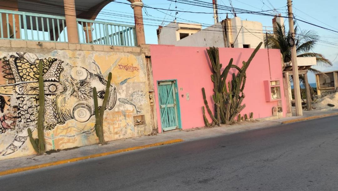 Photo of Others in Colonia Salina Chica