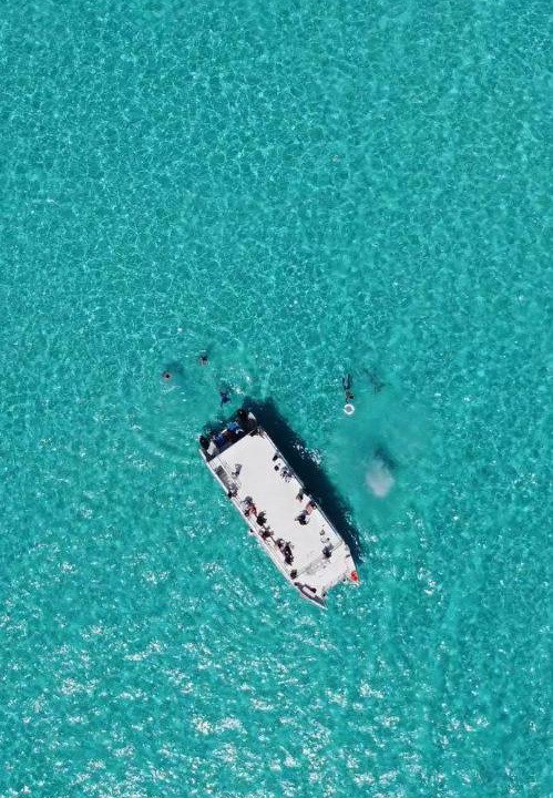 Photo of Human In Picture in Punta Cancun