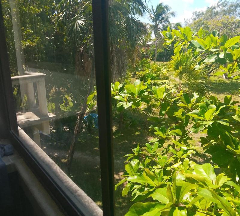 Photo of Others in Majahual