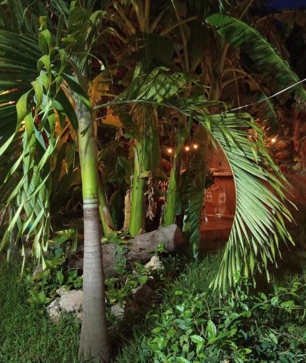 Photo of Outdoor in Alfredo V. Bonfil
