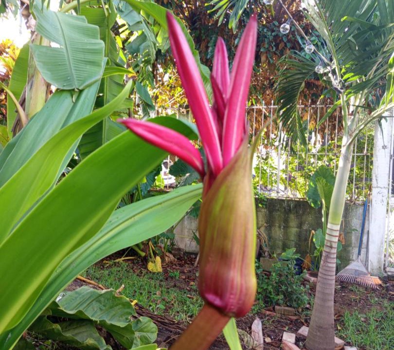 Photo of Outdoor in Alfredo V. Bonfil