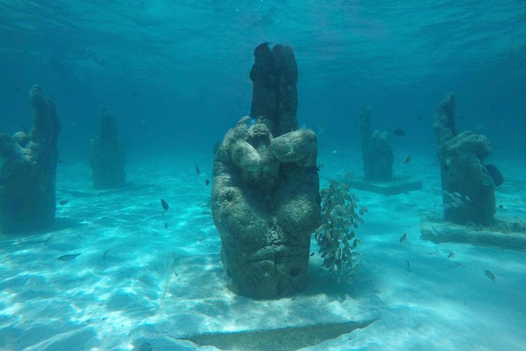 Photo of Others in La Isla
