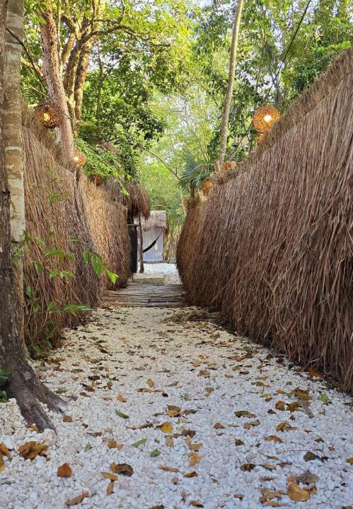 Photo of Others in Tulum