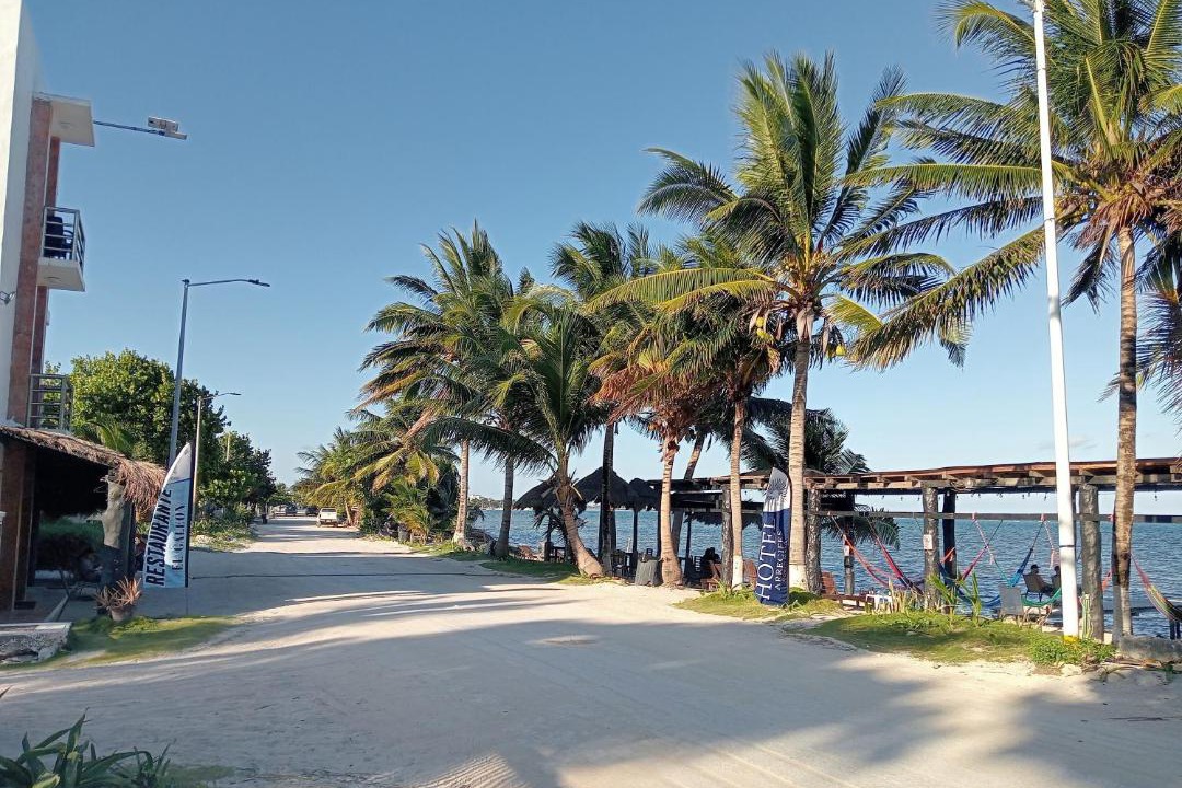 Photo of Others in Mahahual