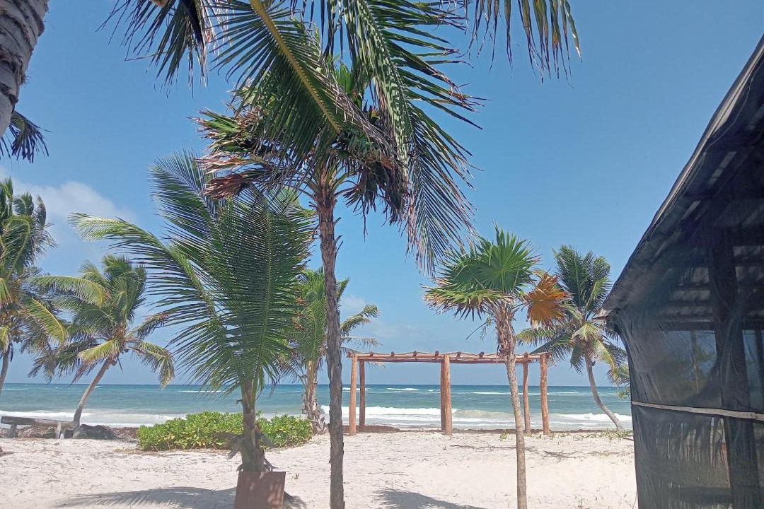 Photo of Others in Mahahual