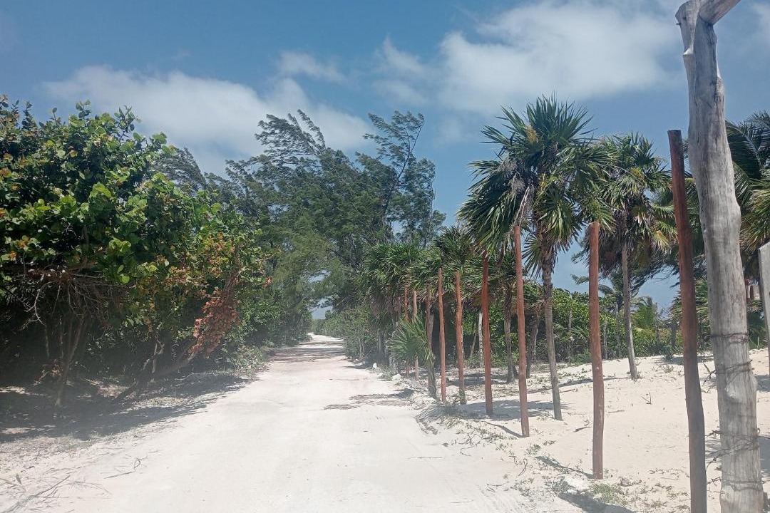 Photo of Others in Mahahual