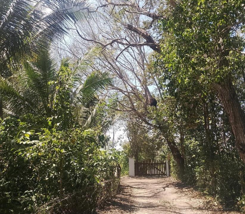 Photo of Outdoor in Xul-Ha