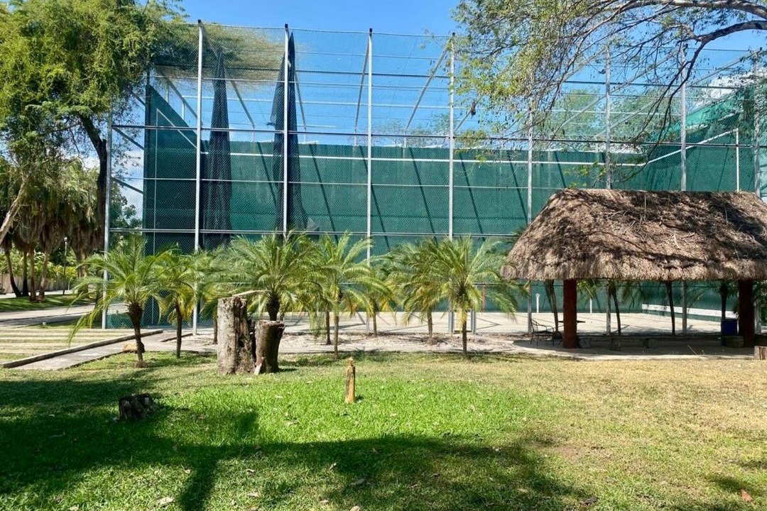 Photo of Others in Chetumal