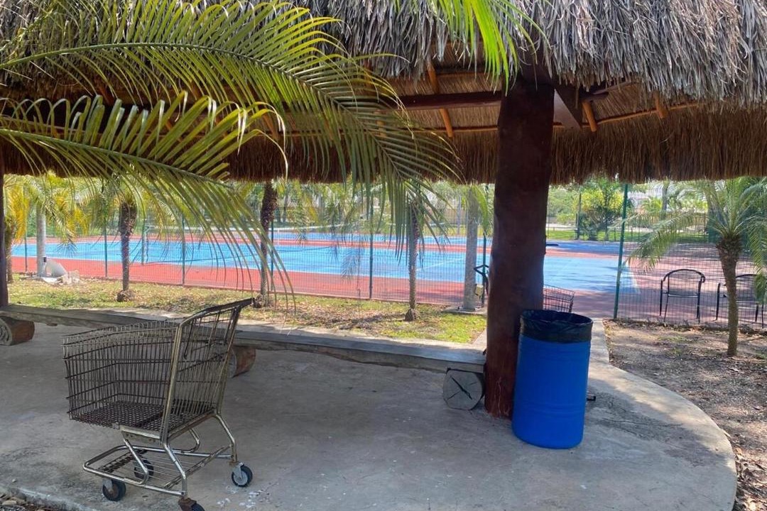 Photo of Others in Chetumal