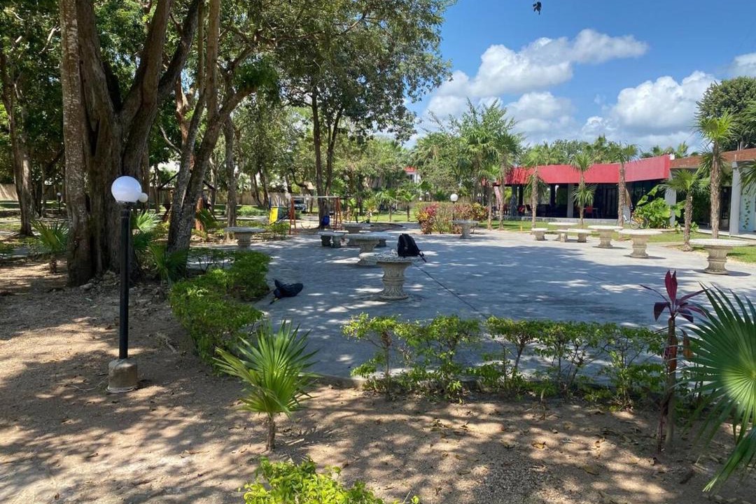 Photo of Others in Chetumal