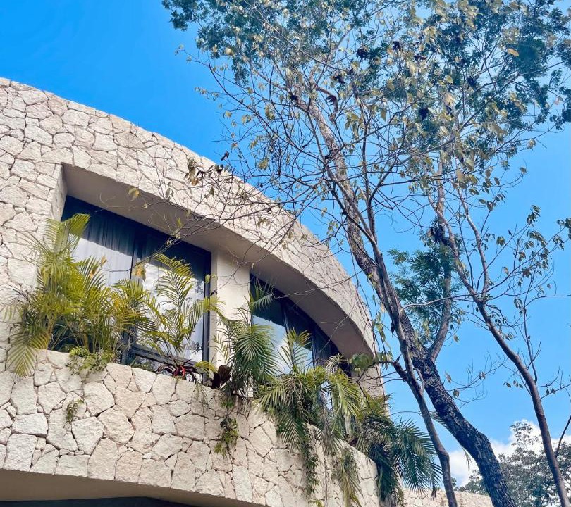Photo of Others in Tulum City Center