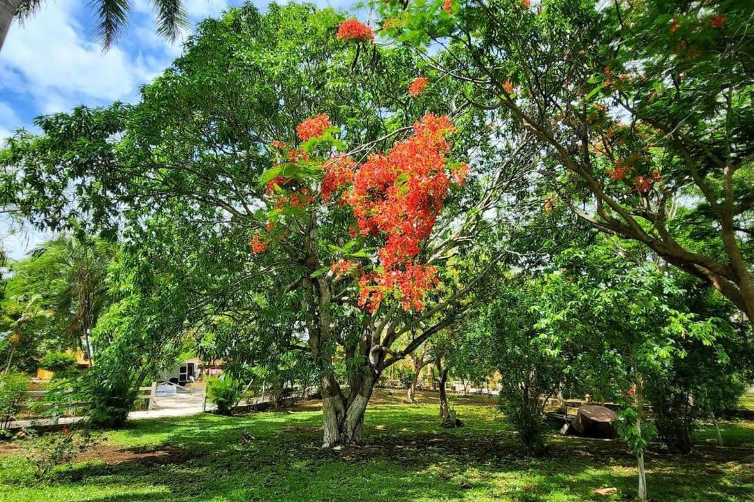 Photo of Others in Kanasin
