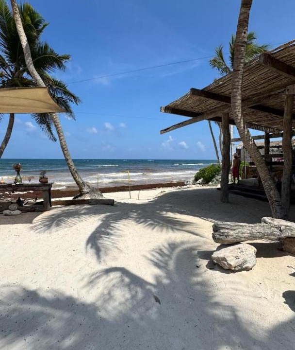 Photo of Others in Playa Paraiso