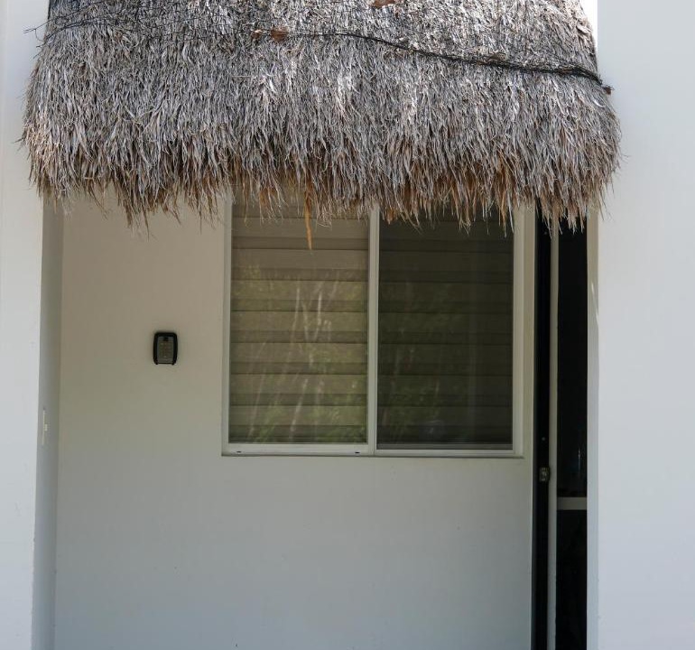 Photo of Others in Puerto Morelos