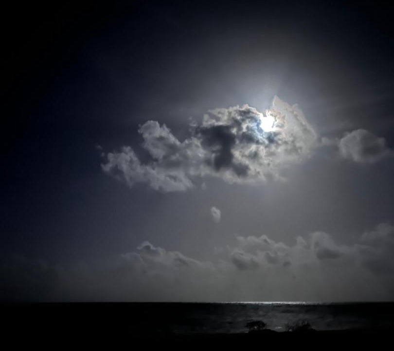 Photo of Others in Mahahual