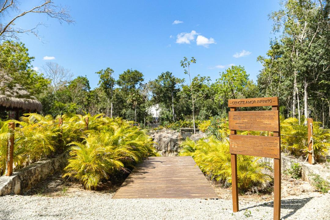 Photo of Outdoor in Benito Juarez