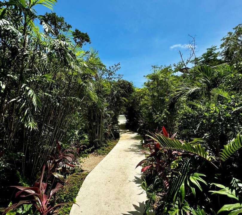 Photo of Outdoor in Tulum