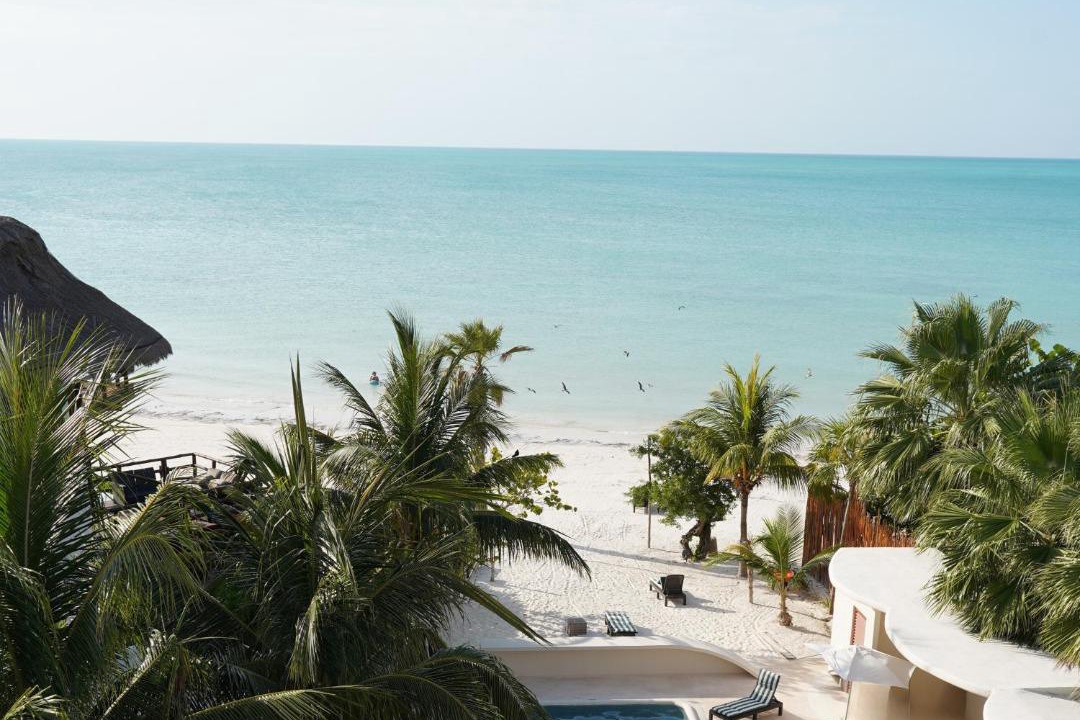 Photo of Others in Isla Holbox