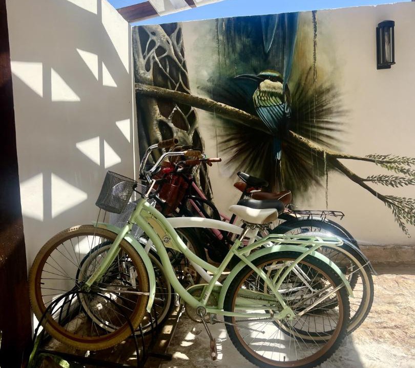Photo of Others in Playa del Carmen