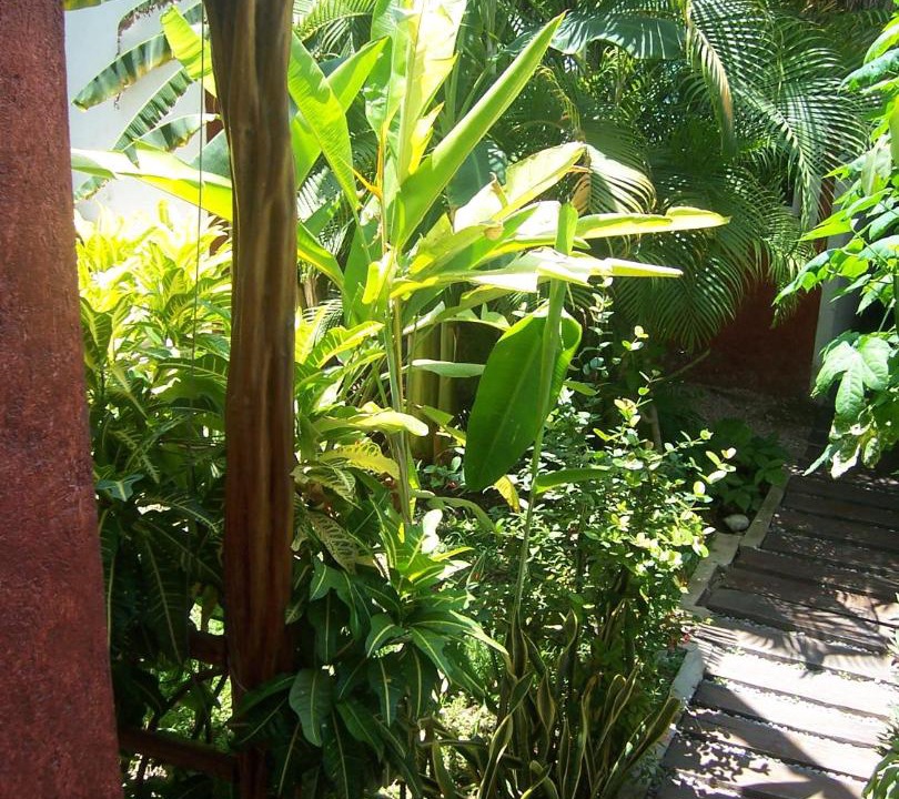 Photo of Others in Centro - Supmza 001