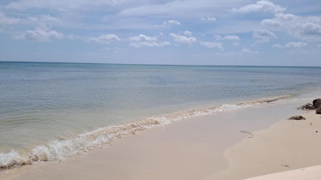 Photo of Others in Puerto Morelos