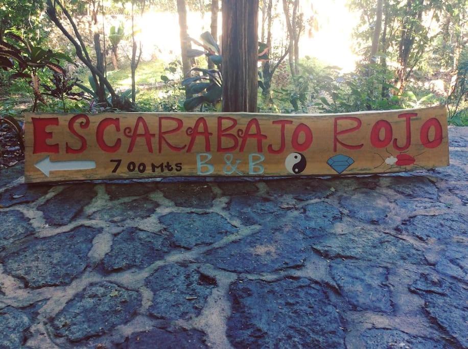 Photo of Outdoor in Macario Gomez