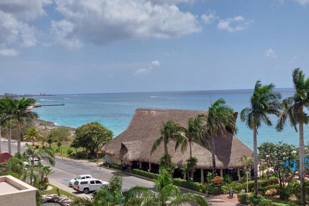 Photo of Others in Cozumel
