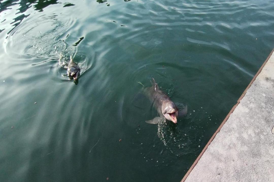 Photo of Others in Puerto Aventuras