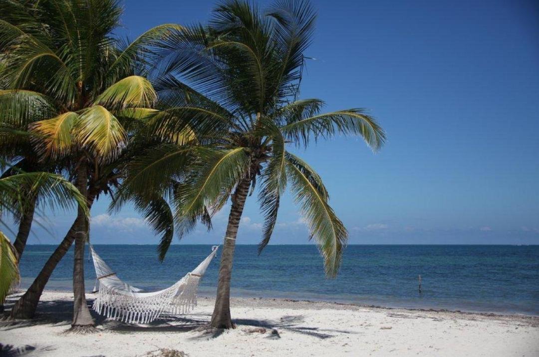 Photo of Others in Punta Allen
