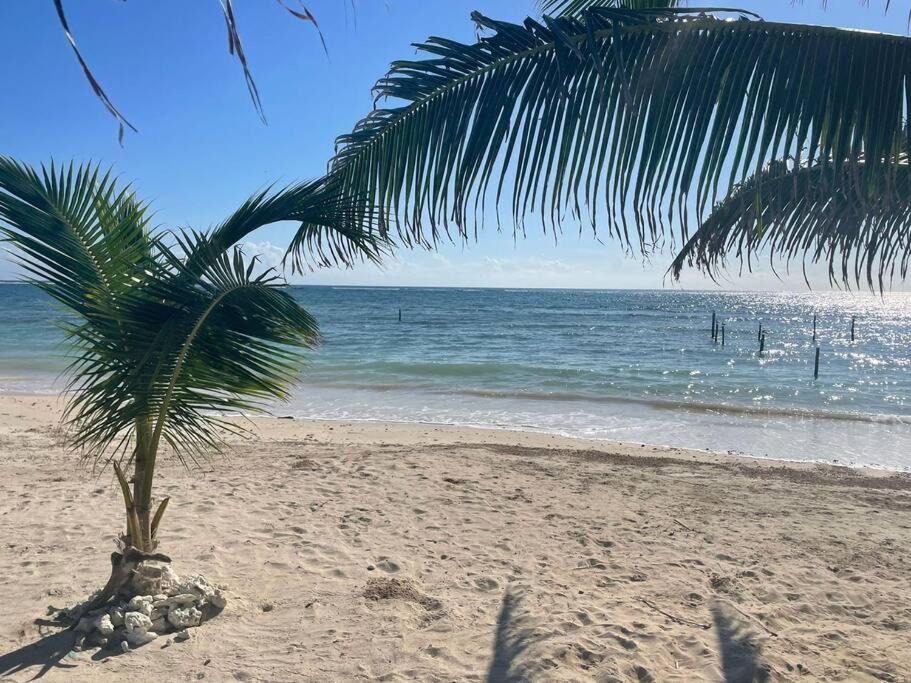 Photo of Others in Mahahual