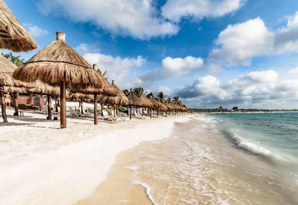 Photo of Others in Akumal
