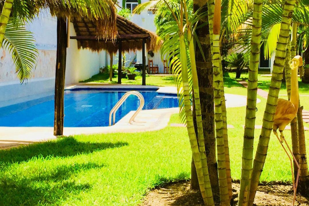 Photo of Others in Playacar