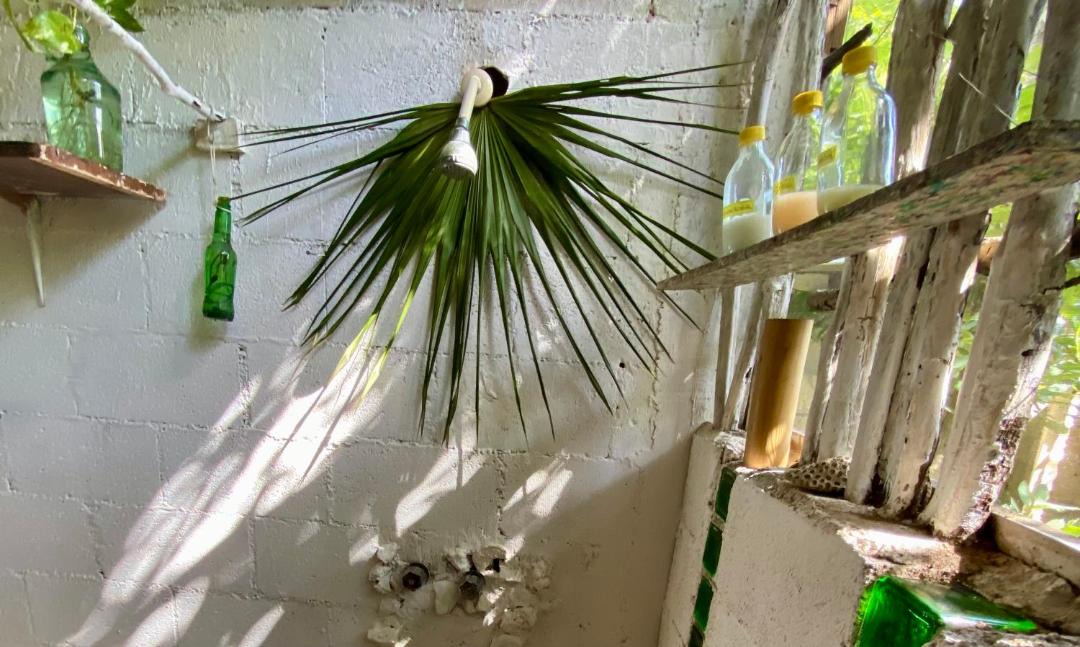 Photo of Bathroom in Zama