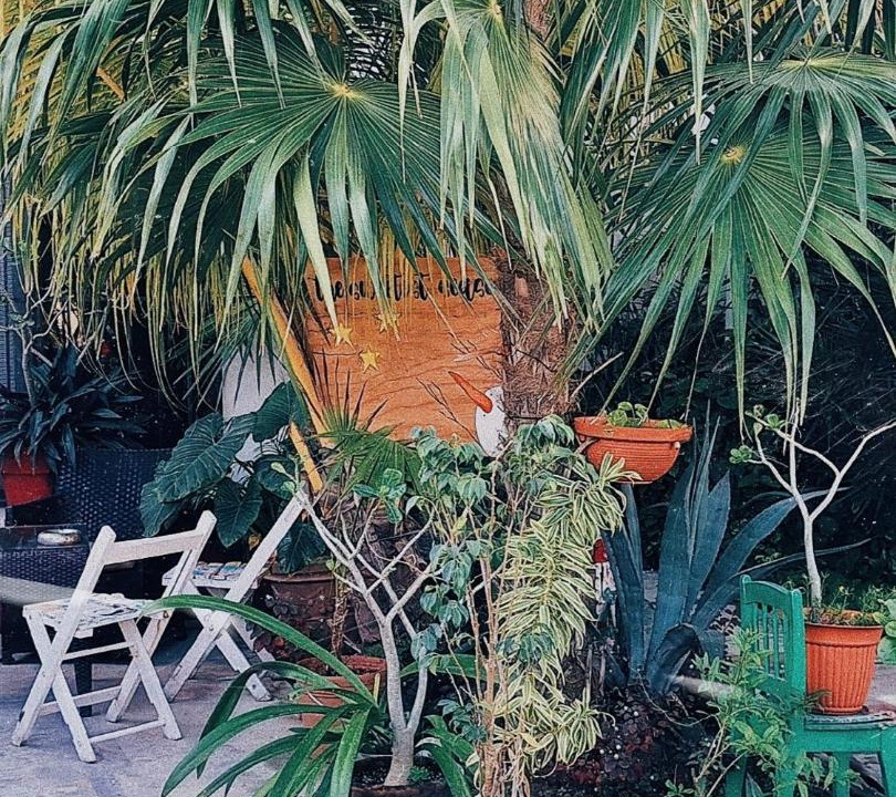 Photo of Others in Puerto Juarez