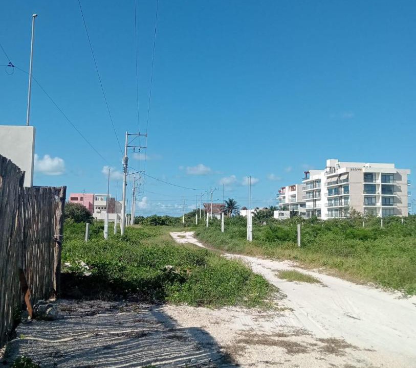 Photo of Others in San Benito