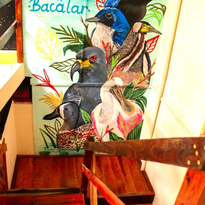 Photo of Others in Chetumal