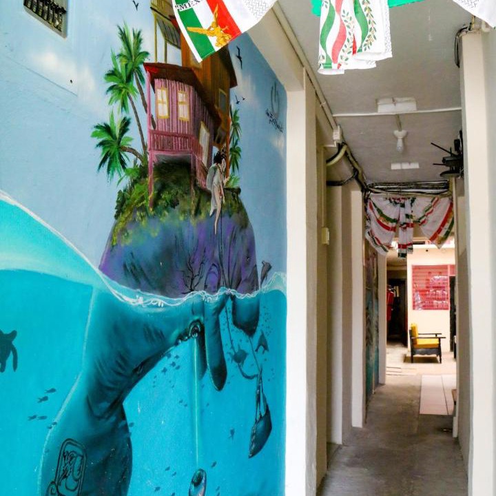 Photo of Others in Chetumal