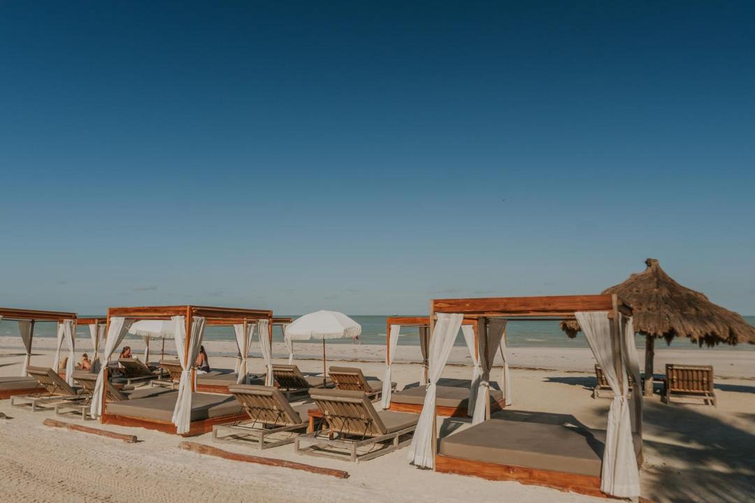 Photo of Others in Isla Holbox