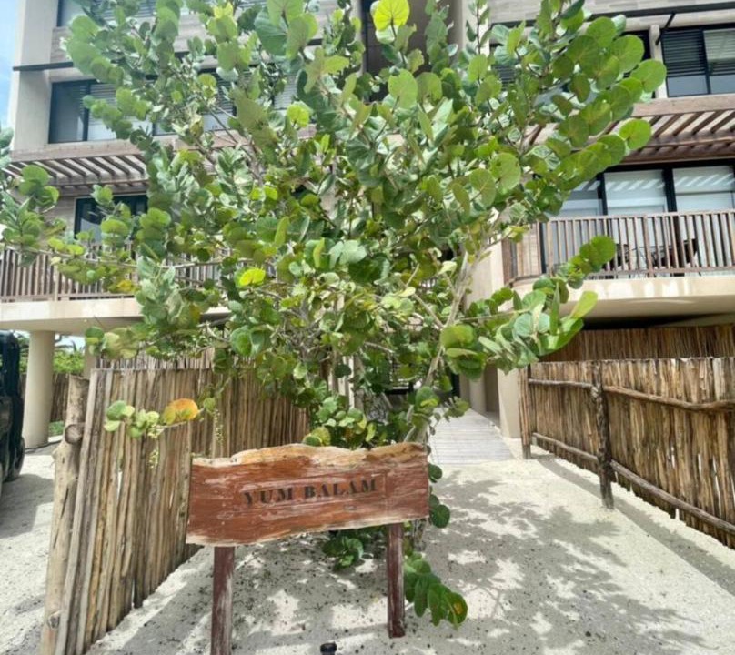 Photo of Others in Isla Holbox