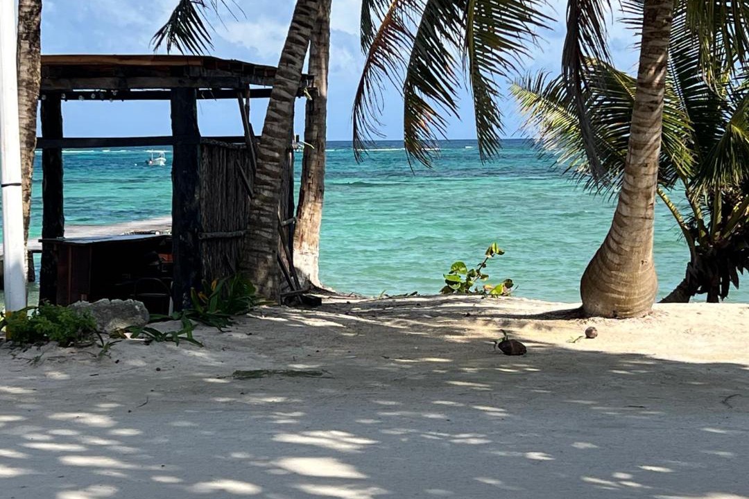 Photo of Others in Mahahual