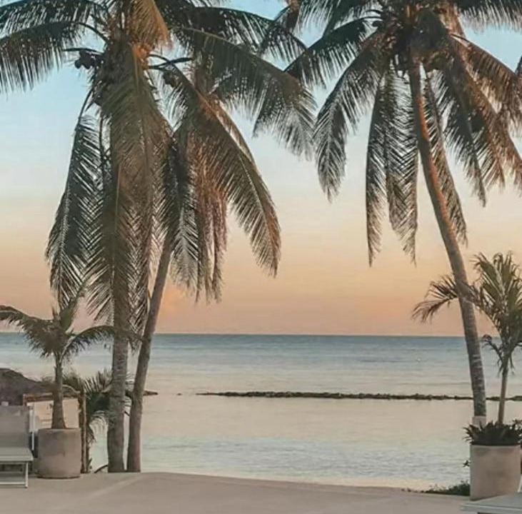 Photo of Others in Puerto Aventuras
