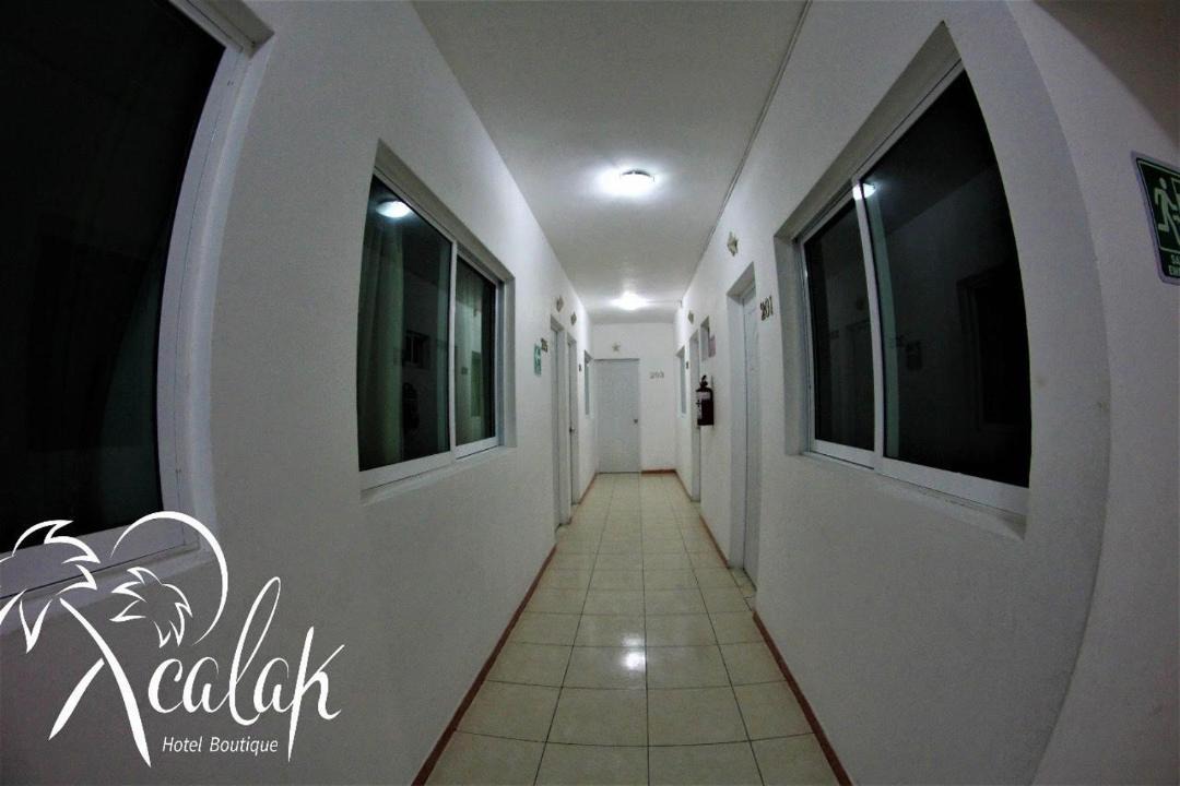Photo of Others in Chetumal